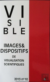Visible : Visible, N° 10/2013 : Rhétorique Et Visualisation Scientifique