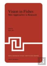 Vision In Fishes