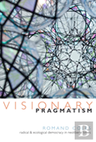 Visionary Pragmatism