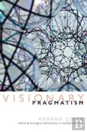 Visionary Pragmatism