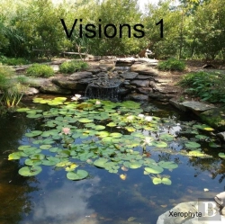 Bertrand.pt - Visions 1