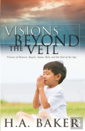 Visions Beyond The Veil