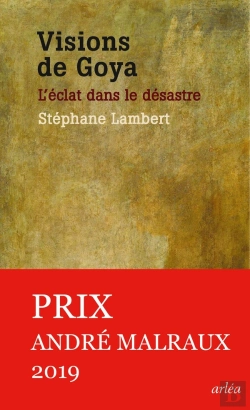 Bertrand.pt - Visions De Goya ; L'Éclat Dans Le Désastre