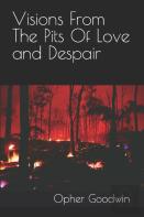 Visions From The Pits Of Love And Despair