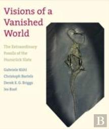 Visions Of A Vanished World