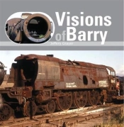 Visions Of Barry