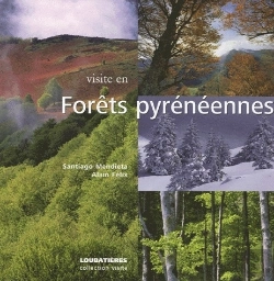 Bertrand.pt - Visite En Forêts Pyrénéennes
