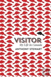 Visitor
