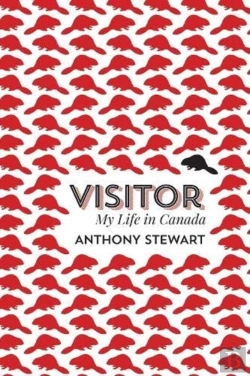 Bertrand.pt - Visitor
