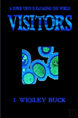Bertrand.pt - Visitors