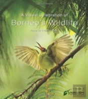 Visual Celebration Of Borneo'S Wildlife