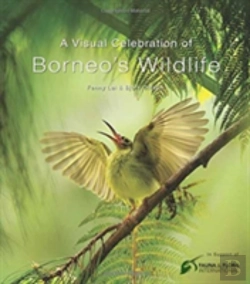 Bertrand.pt - Visual Celebration Of Borneo'S Wildlife