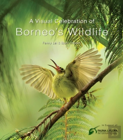 Bertrand.pt - Visual Celebration Of Borneo'S Wildlife