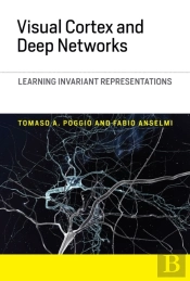 Visual Cortex And Deep Networks