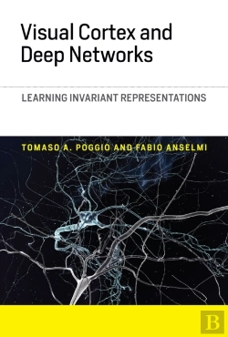 Bertrand.pt - Visual Cortex And Deep Networks