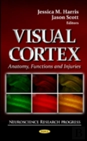 Visual Cortex