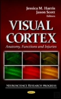 Bertrand.pt - Visual Cortex