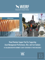 Visual Decision Support Tool For Supporting Asset Management Performance, Risk, And Cost Analysis In Collaboration With Gwinnett County Department Of Water Resources