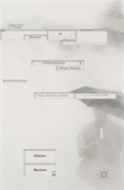 Visual Devices In Contemporary Prose Fiction