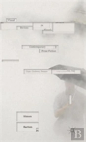 Visual Devices In Contemporary Prose Fiction