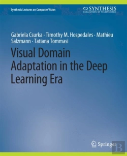 Bertrand.pt - Visual Domain Adaptation In The Deep Learning Era