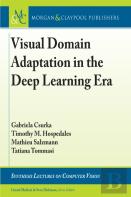 Visual Domain Adaptation In The Deep Learning Era