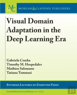 Bertrand.pt - Visual Domain Adaptation In The Deep Learning Era