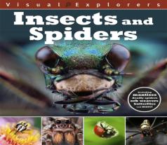 Visual Explorers: Insects And Spiders