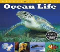 Visual Explorers: Ocean Life
