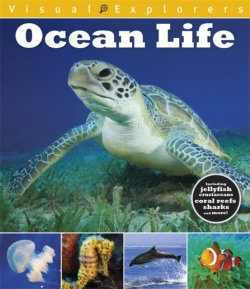 Bertrand.pt - Visual Explorers: Ocean Life