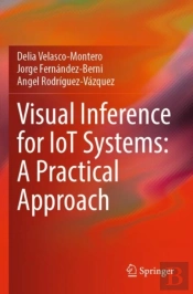 Visual Inference For Iot Systems: A Practical Approach