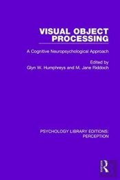 Visual Object Processing