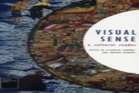 Visual Sense