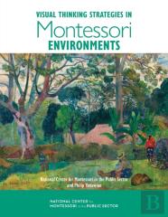 Visual Thinking Strategies In Montessori Environments
