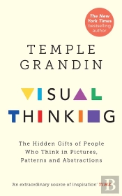 Visual Thinking