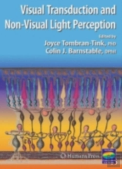 Bertrand.pt - Visual Transduction And Non-Visual Light Perception