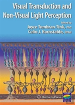 Bertrand.pt - Visual Transduction And Non-Visual Light Perception