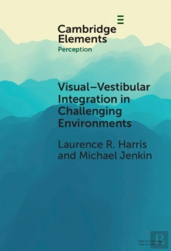 Bertrand.pt - Visual-Vestibular Integration In Challenging Environments