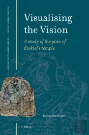 Visualising The Vision