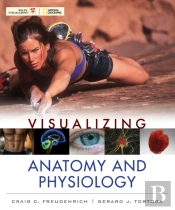 Visualizing Anatomy And Physiology
