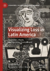 Visualizing Loss In Latin America