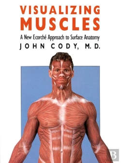 Bertrand.pt - Visualizing Muscles