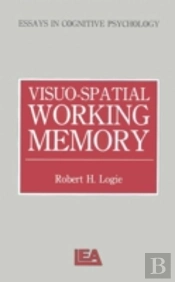 Visuo-Spatial Working Memory