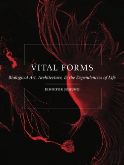 Bertrand.pt - Vital Forms