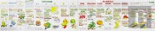 Vitamin Chart