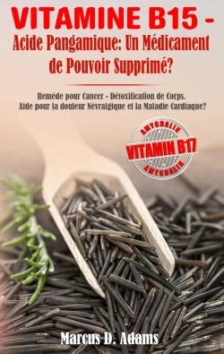Bertrand.pt - Vitamine B15 : Acide Pangamique : Un Médicament De Pouvoir Supprimé ? Remède Pour Cancer, Détoxification De Corps, Aide Pour La Douleur Névralgique Et La Maladie Cardiaque ?