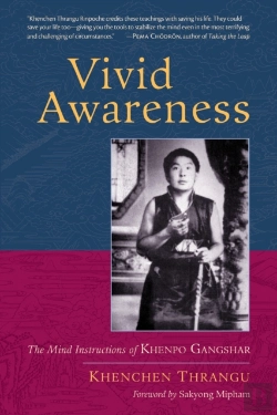 Bertrand.pt - Vivid Awareness
