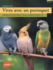 Vivre Avec Un Perroquet