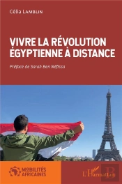 Vivre La Révolution Égyptienne À Distance