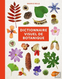 Bertrand.pt - Vocabulaire Botanique Illustre